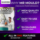 MR MOULD - ANTI - MOULD PAINT - PaintOutlet.co.uk