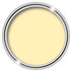 MR MOULD - ANTI - MOULD PAINT - PaintOutlet.co.uk